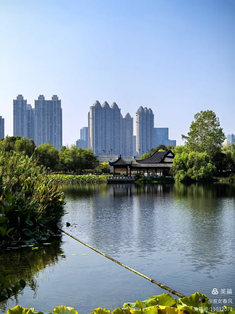 我们在税务系统工作52年的老同事,老姐妹相聚武昌江夏军运村的黄家湖